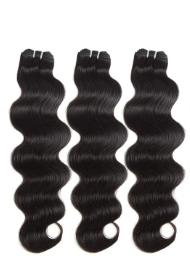 Burmese Curly bundle pack